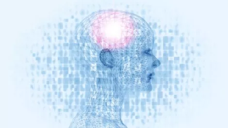 The Grid: The first AI website developer