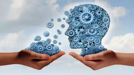 Kiwi DTS acquires ITtelenet and focuses on IP voice