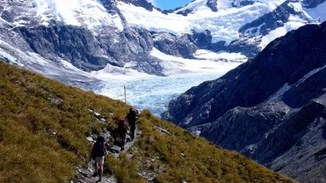 Android App Review: New Zealand's Great Walks