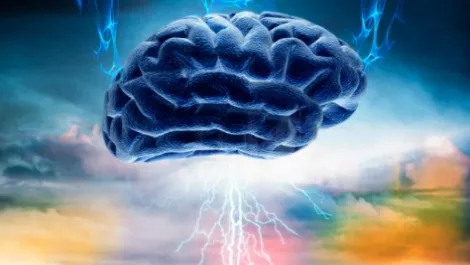 Kiwi wearable company takes on the world, starting in Germany