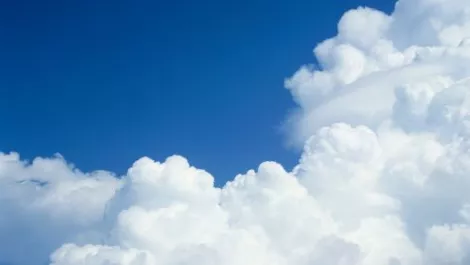 Is cloud driving the age of everything as a service?