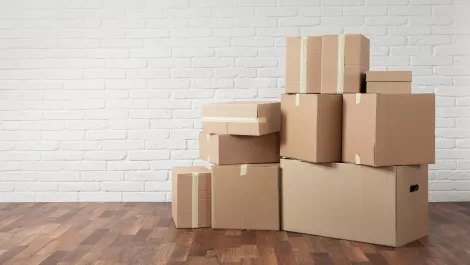 Auckland-based startup pioneering peer-to-peer storage platform