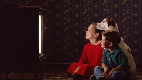 Thinkstockphotos 87771713